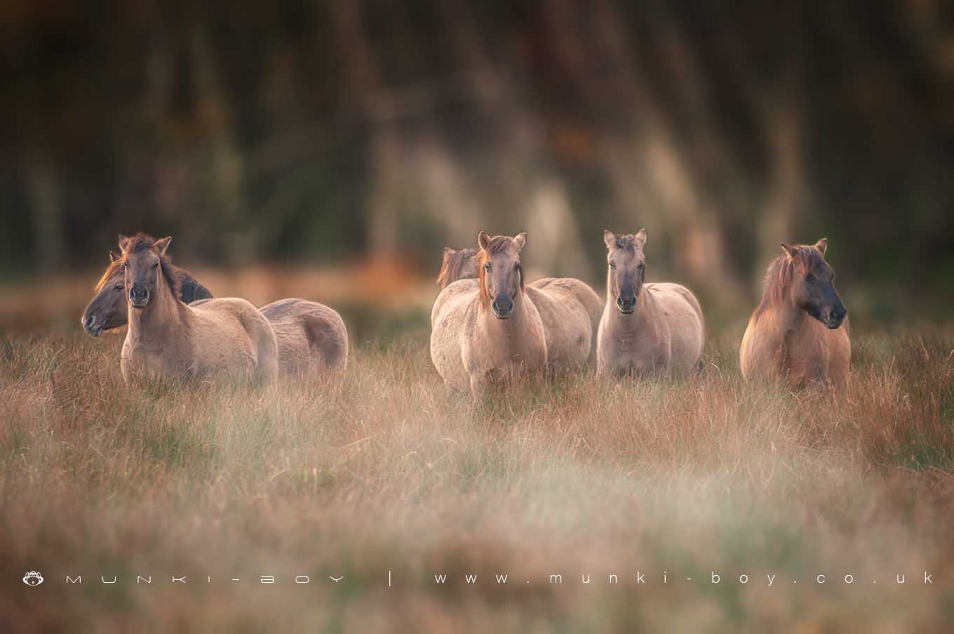 Nature Reserves in Suffolk