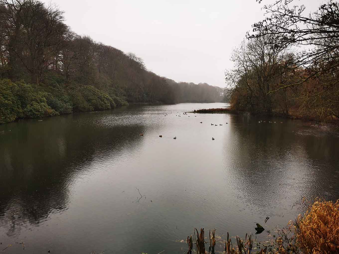 Lakes in West Bretton