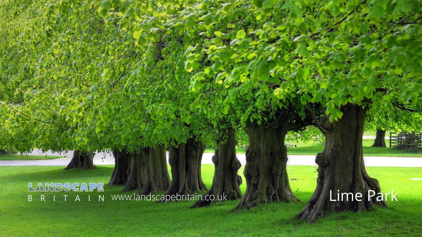 Country Parks in Disley