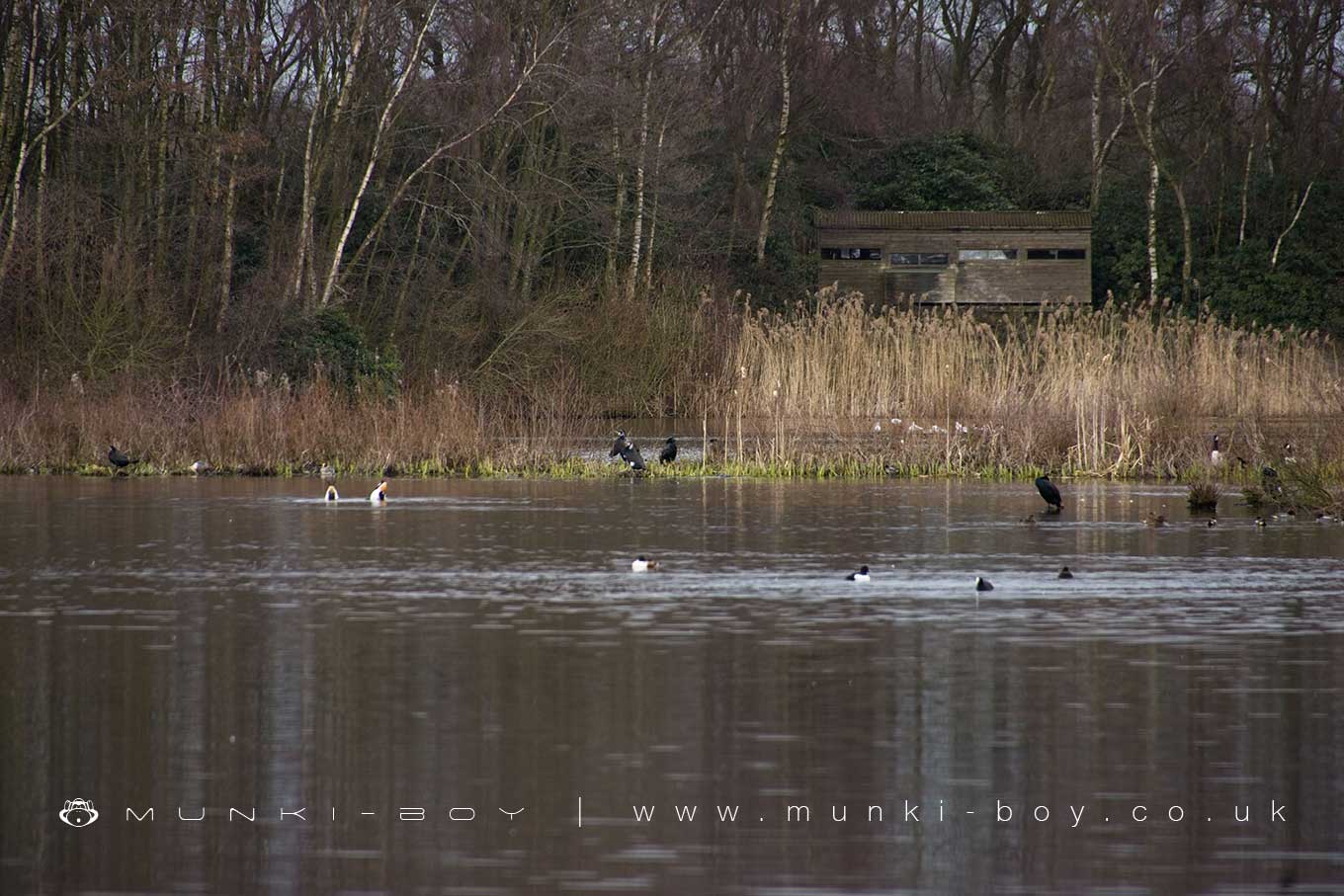 Woodlands in Rufford