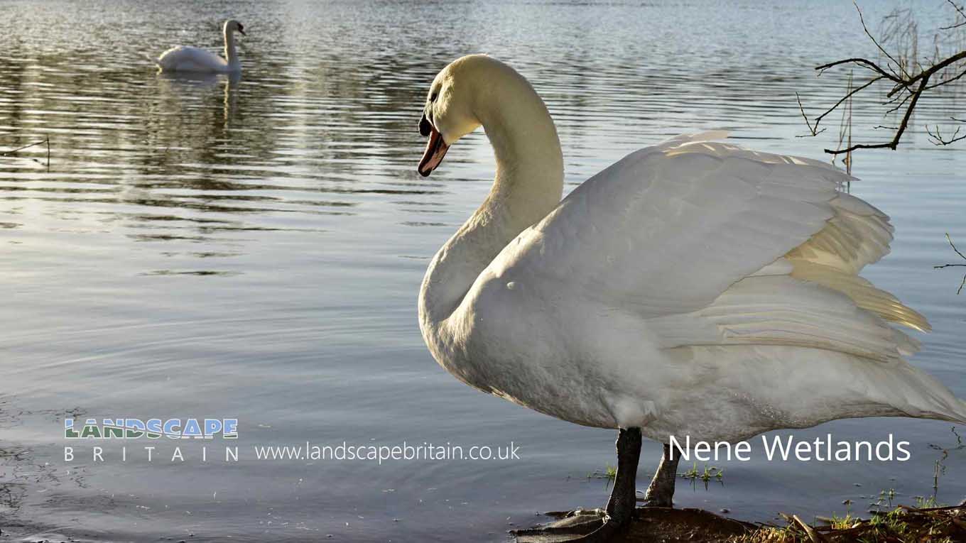 Nature Reserves in Rushden