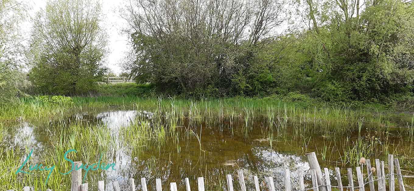 Lakes in Norton