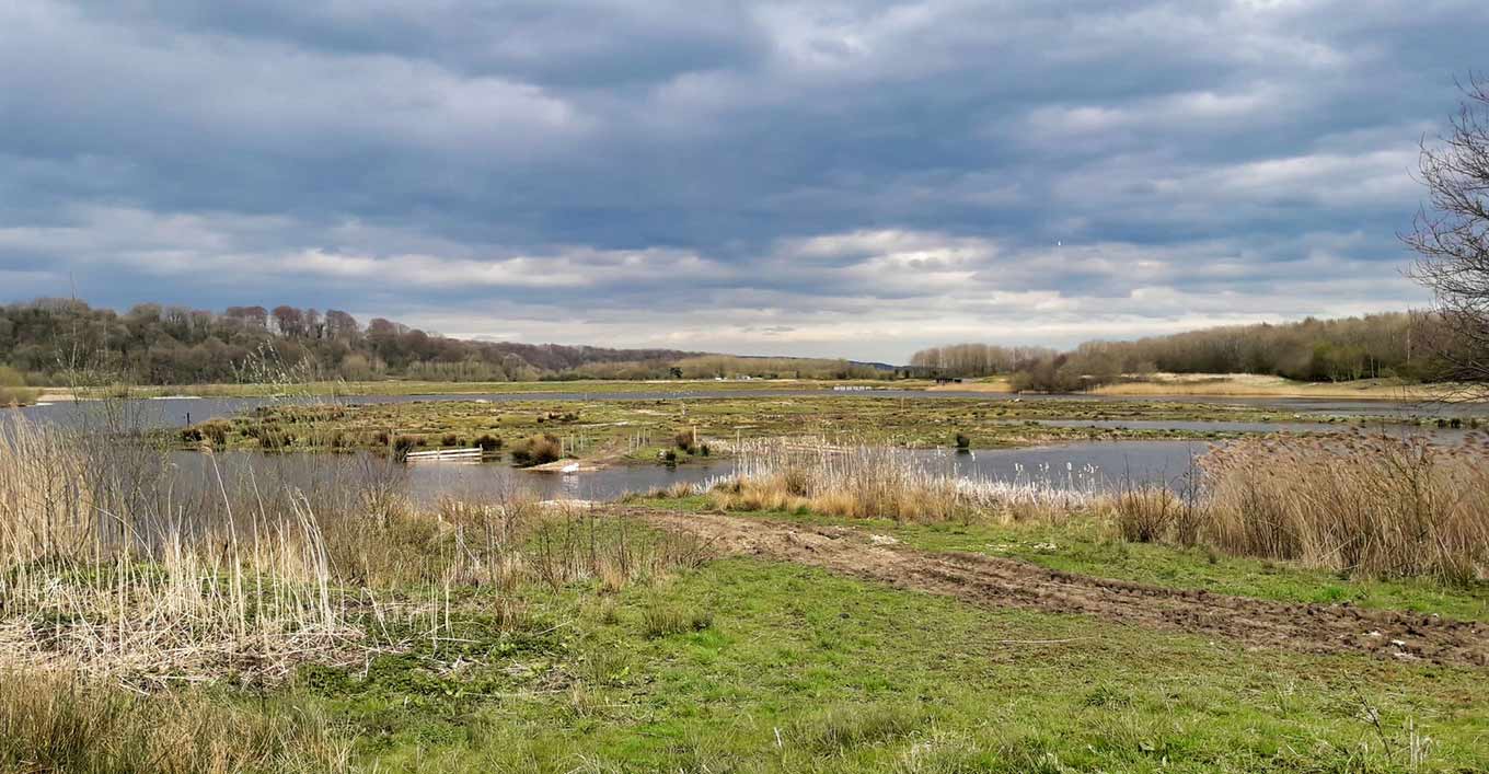 Lakes in Brockholes Nature Reserve