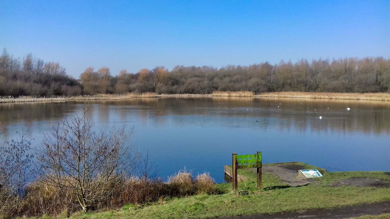 Lakes in Wigan Flashes Local Nature Reserve