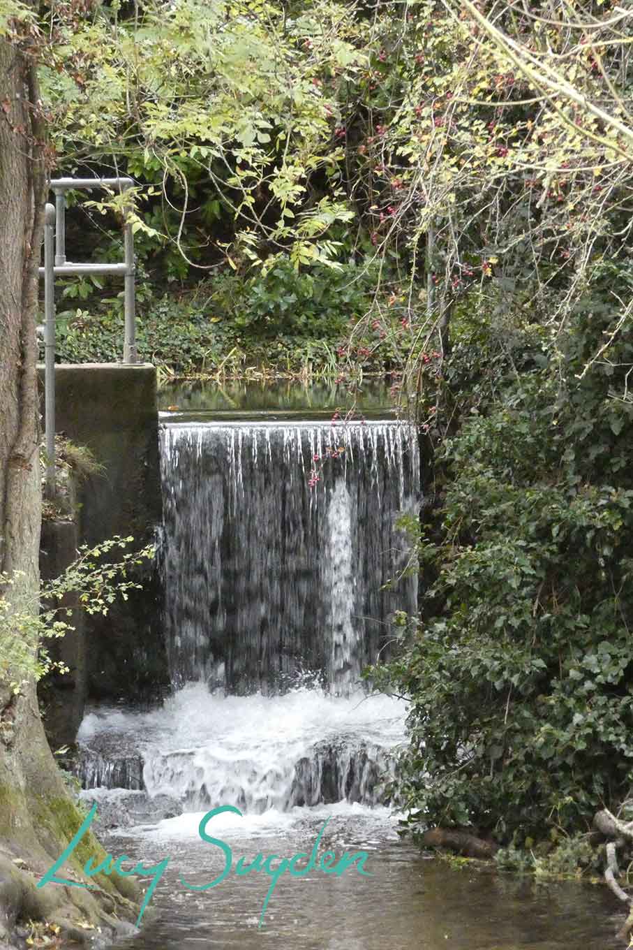 Waterfalls in Oughtonhead Common Nature Reserve