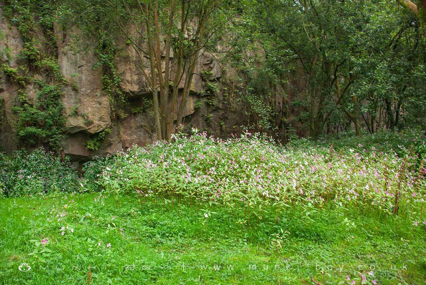 Nature Reserves in Bolton