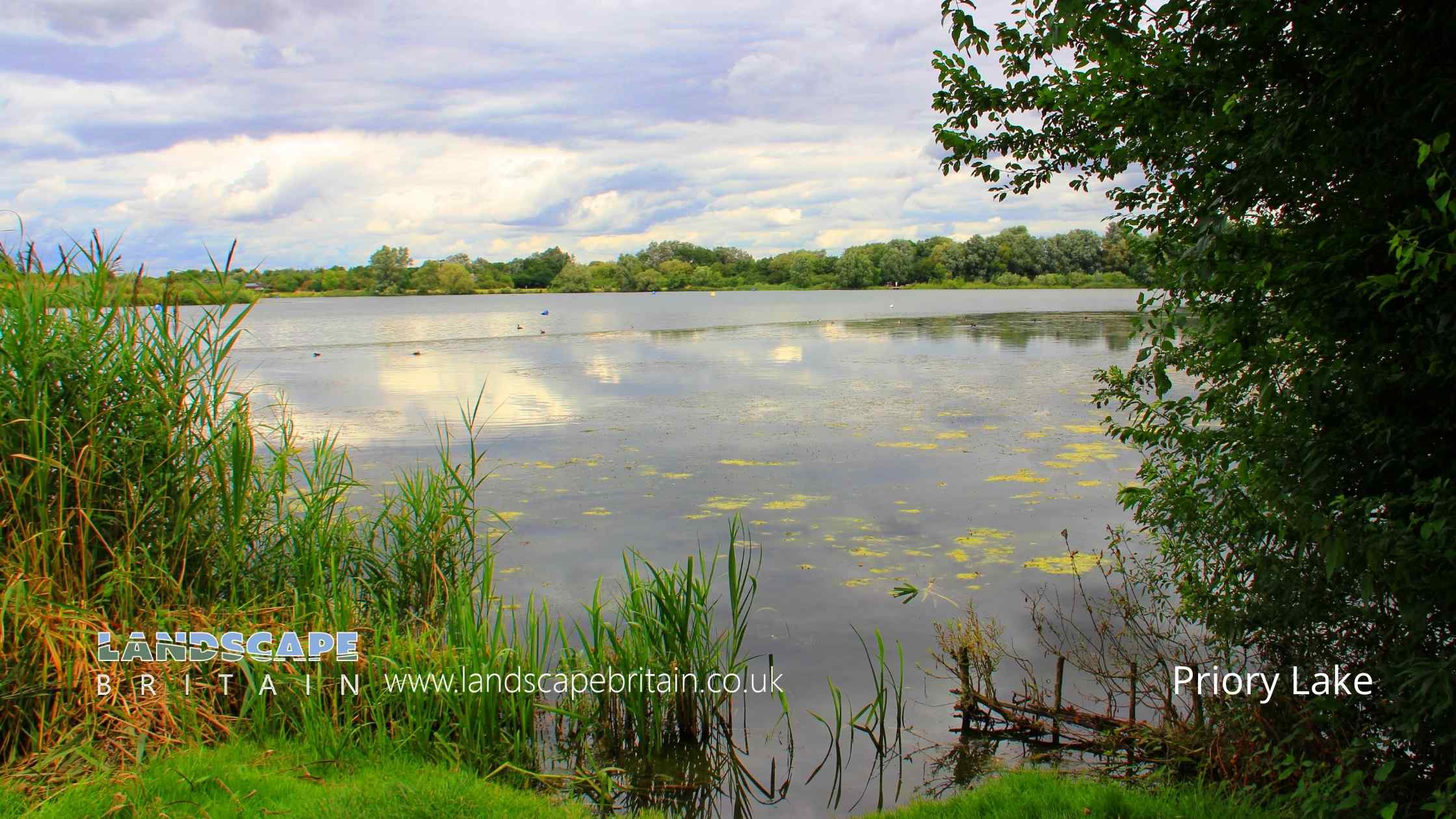 Lakes in Priory Country Park