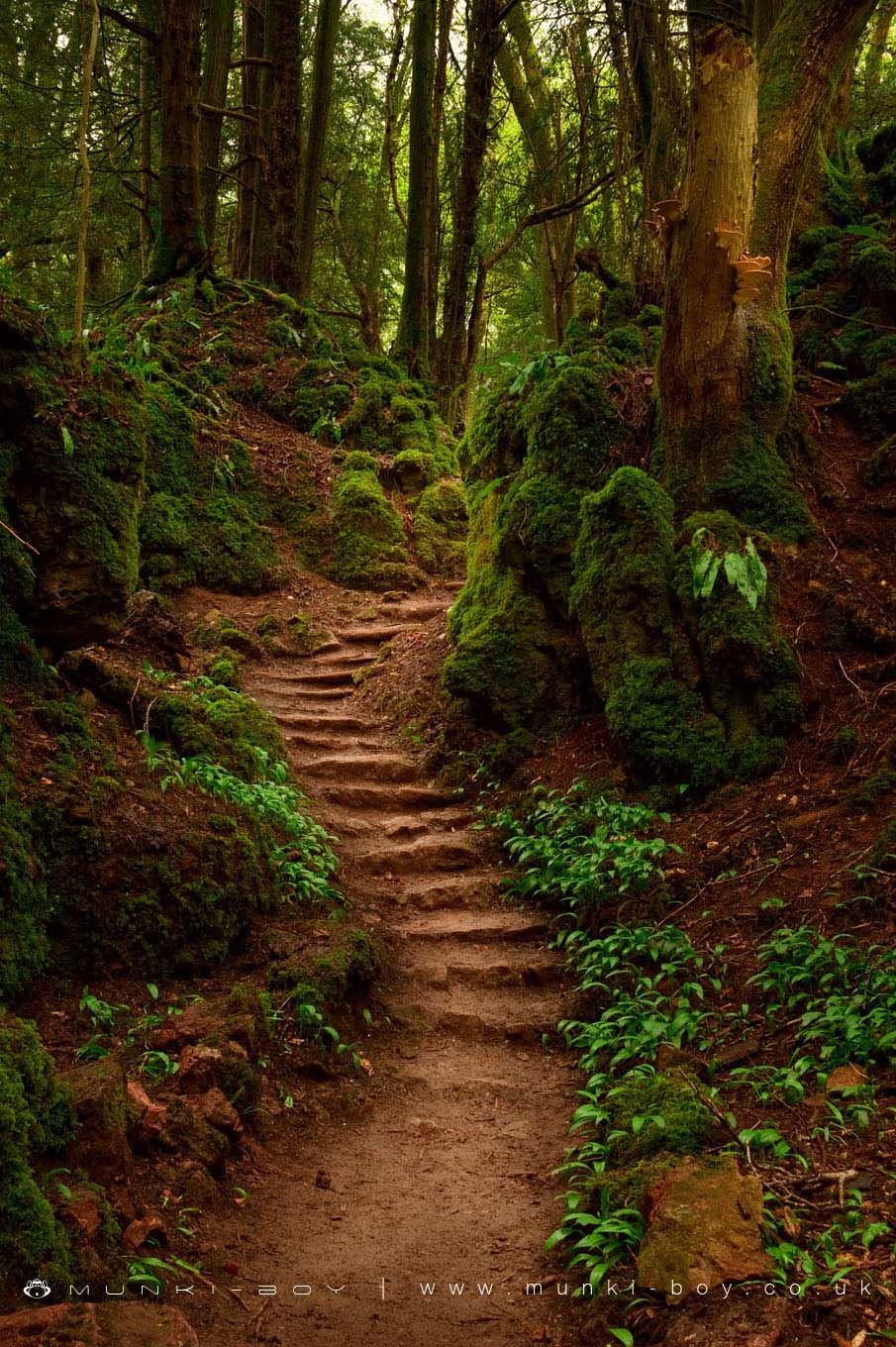 Woodlands in Gloucestershire