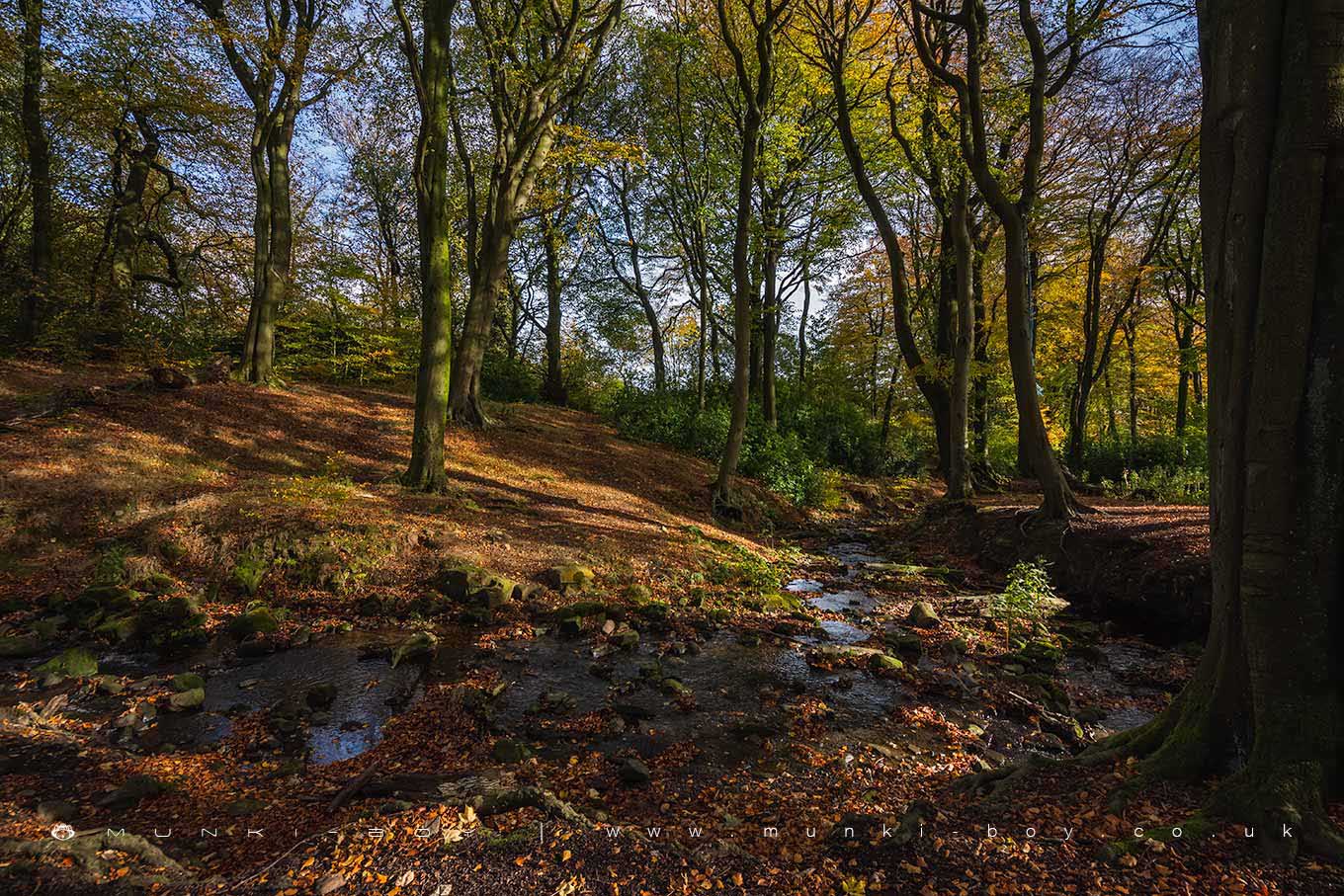 Rivers and Streams in Raveden Clough