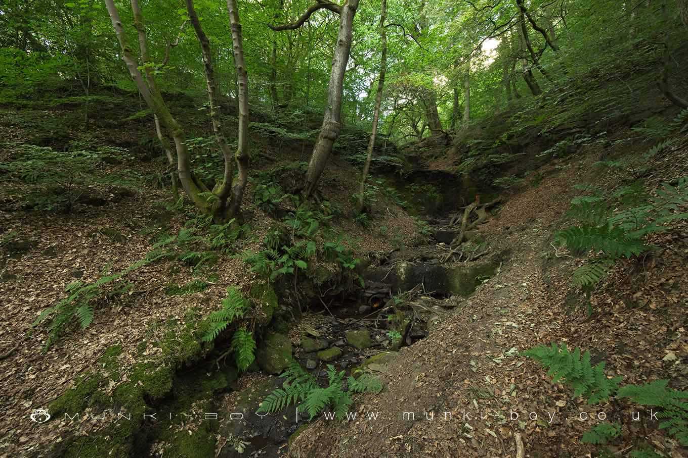 Waterfalls in Redisher Wood