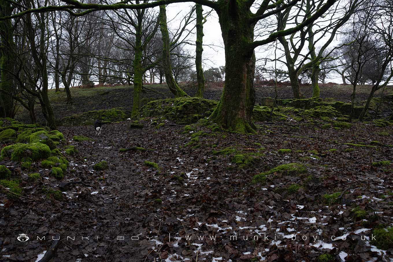 Ruins in Brinscall