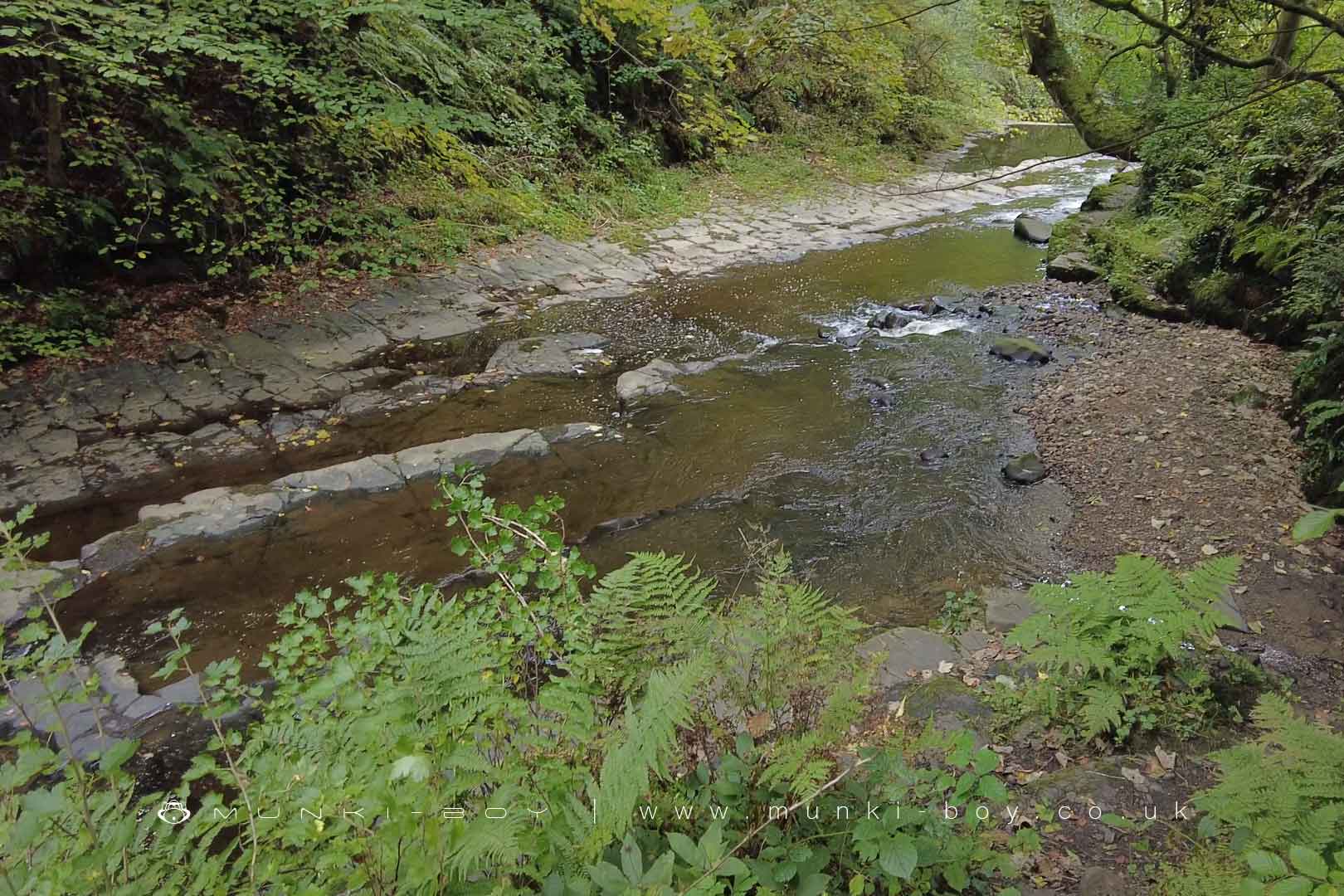 Rivers and Streams in Brock Bottom