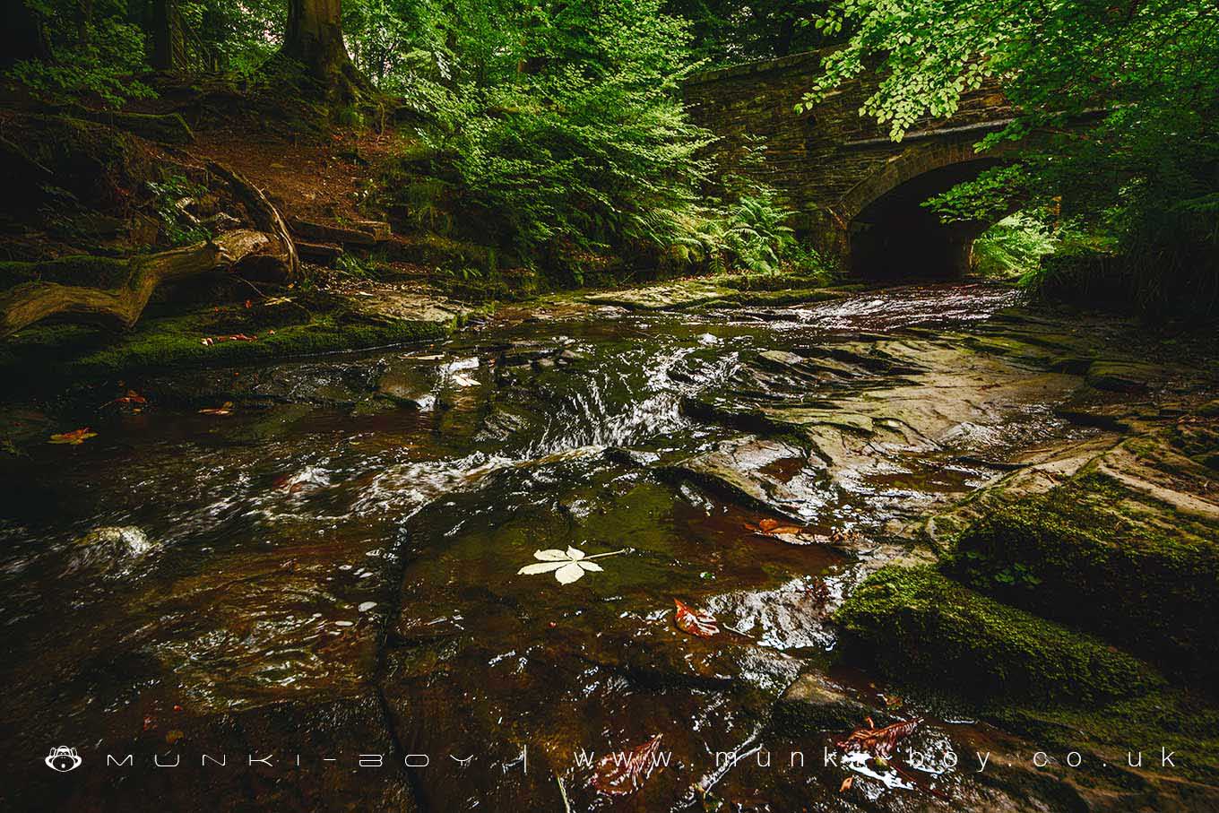 Rivers and Streams in Roddlesworth Woods