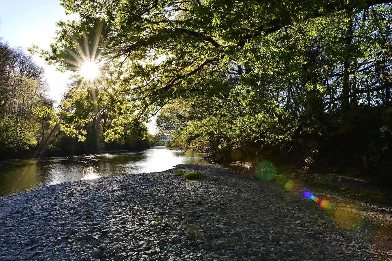 Rivers and Streams in Carmarthenshire