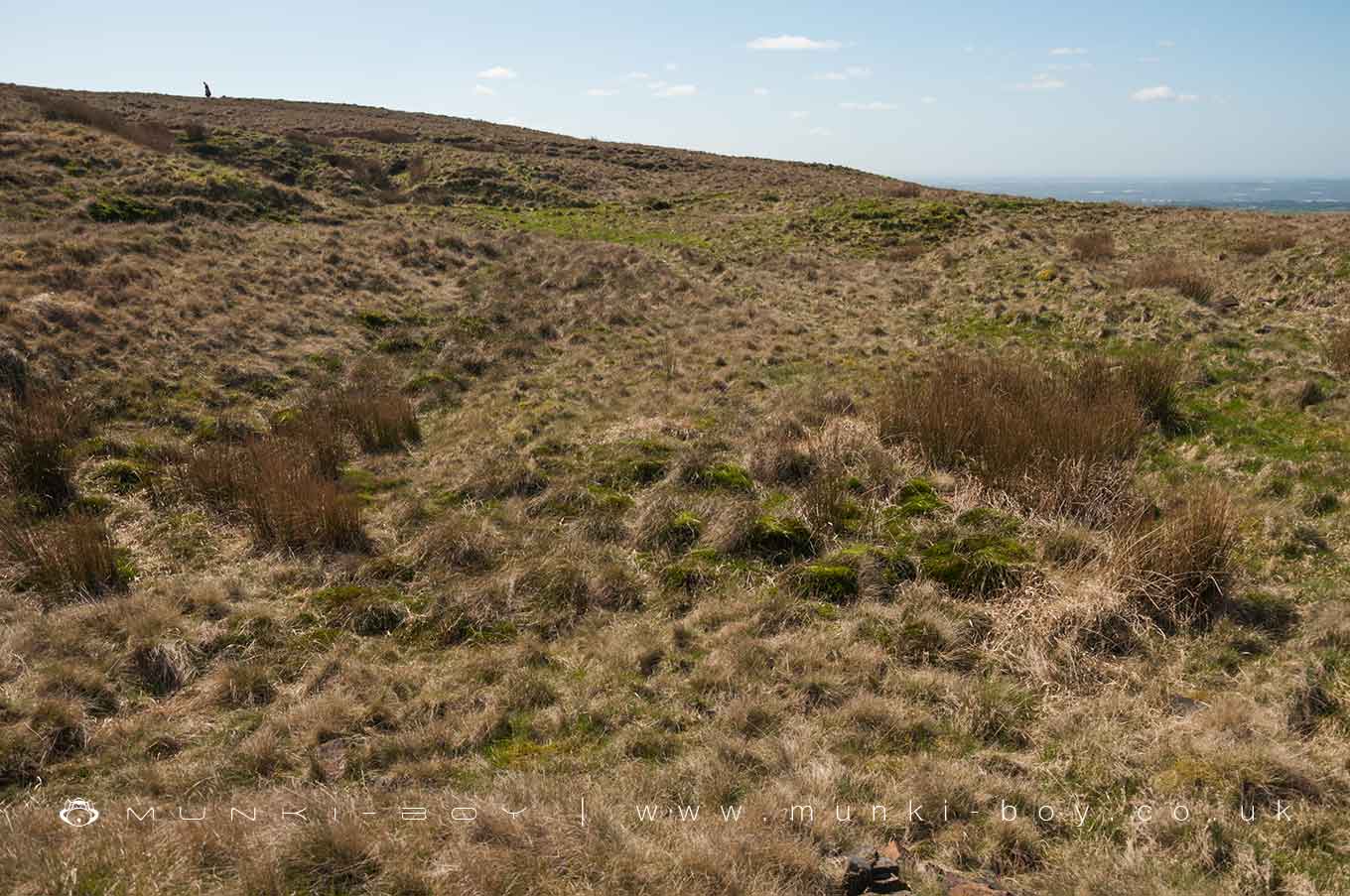 Ruins in Winter Hill