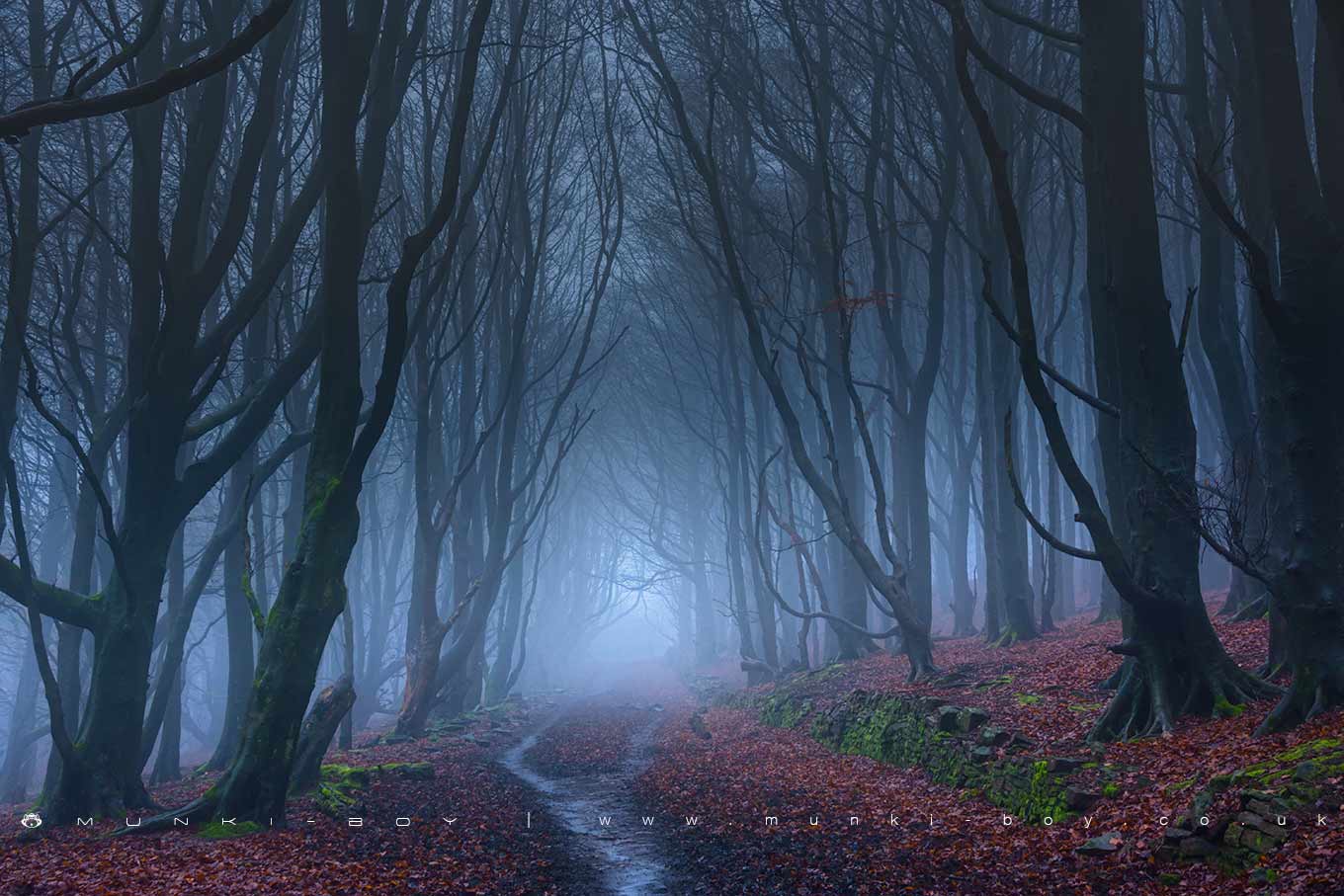 Woodlands in Lancashire