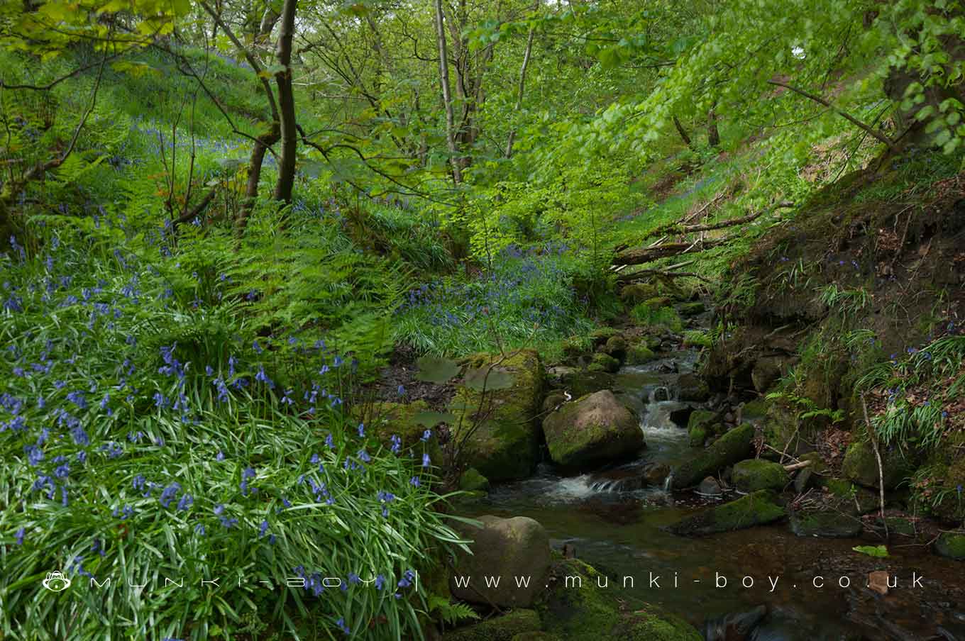 Rivers and Streams in Smithills Country Park