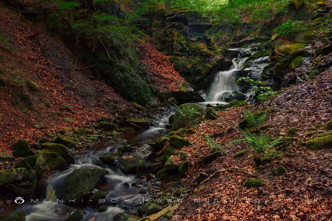 Waterfalls in Walker Fold Woods