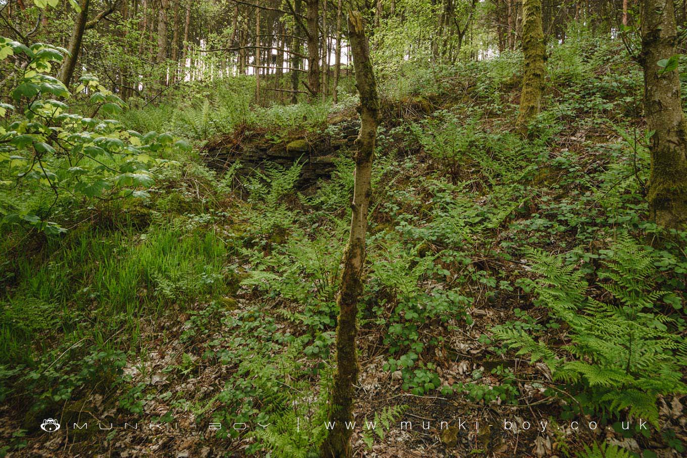 Old Mines in Piethorne Valley