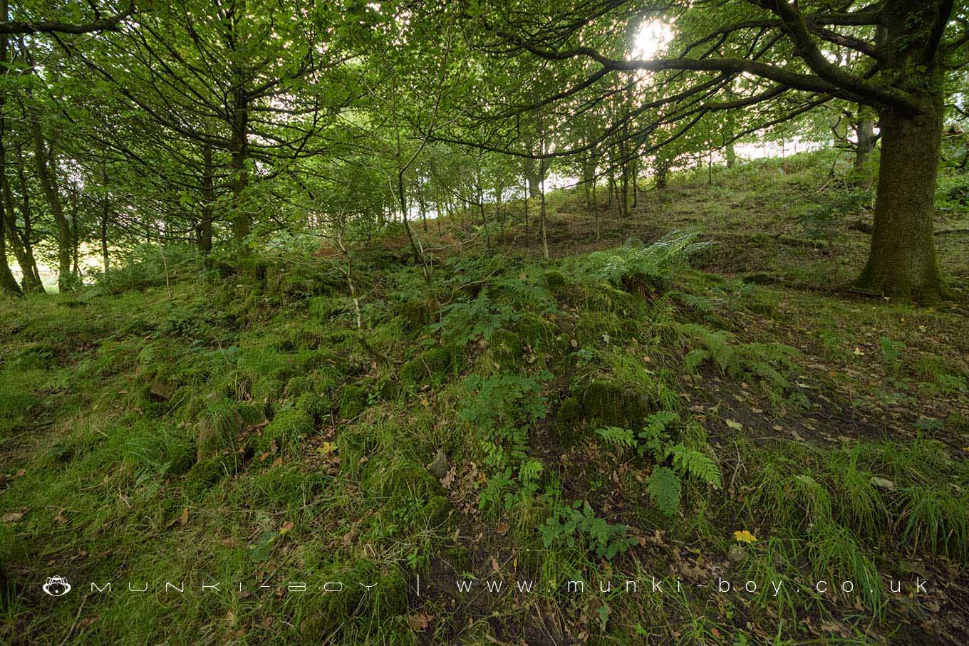 Ruins in High Bullough Reservoir