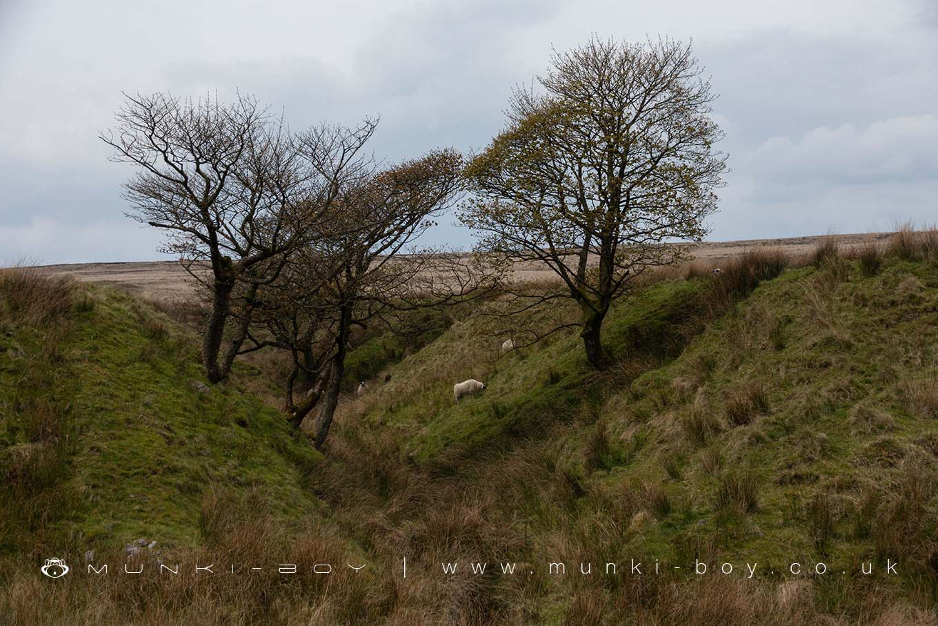 Rivers and Streams in Turton Moor