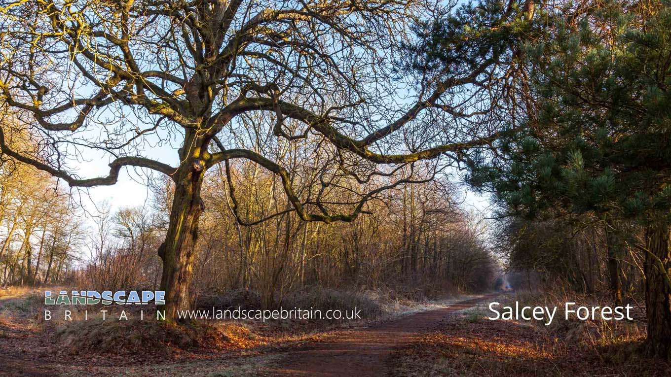 Hiking Areas in Northampton