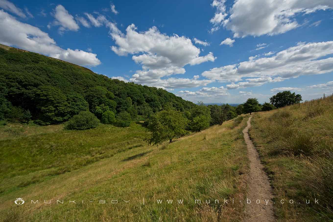 Woodlands in Harcles Hill