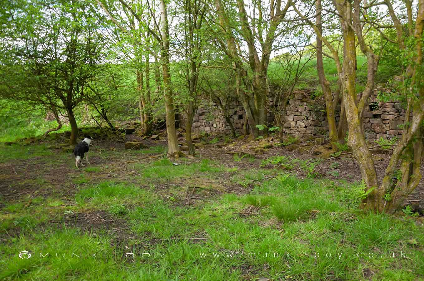 Ruins in Barrow Bridge