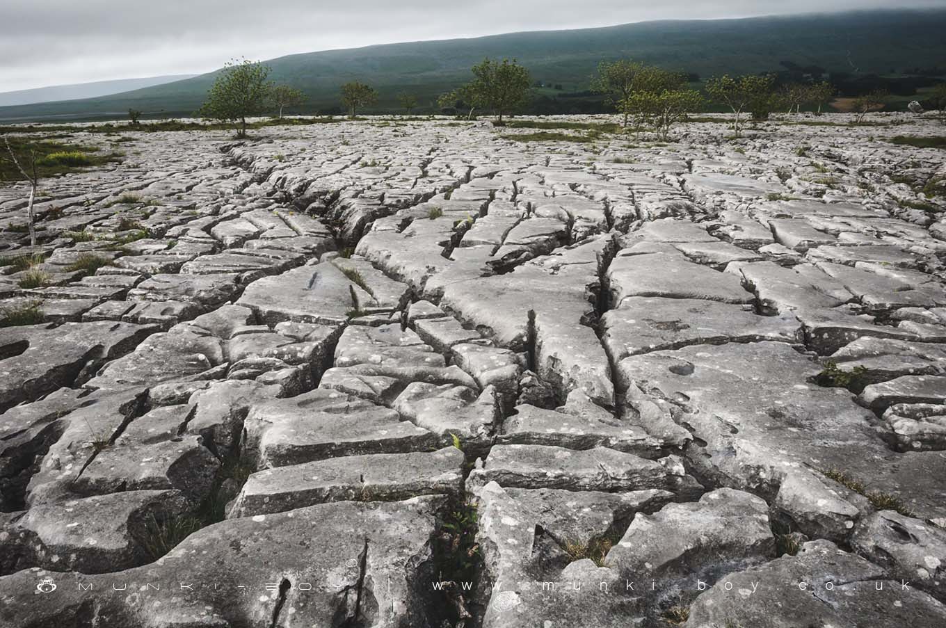 Limestone Pavements in Ingleton