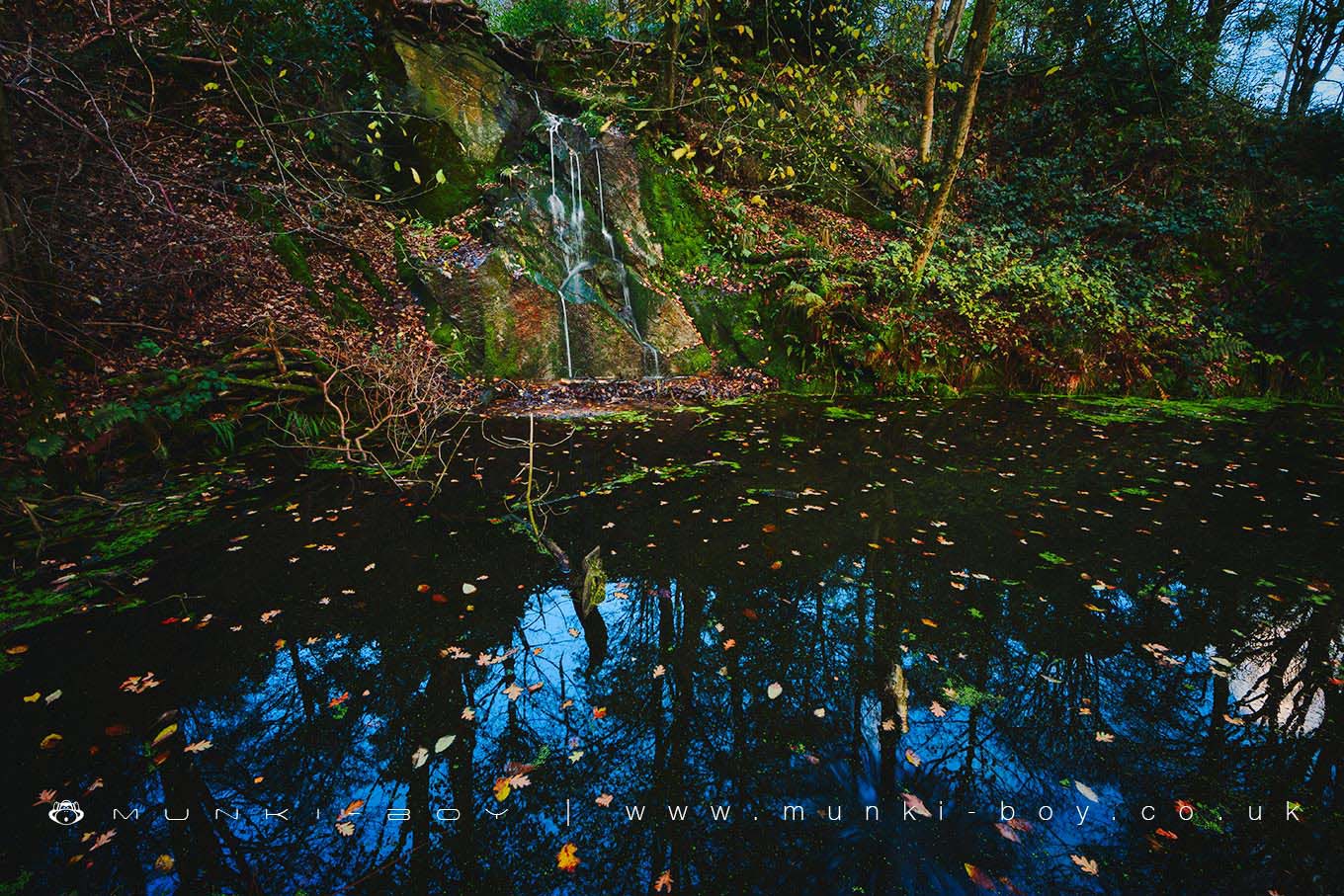 Waterfalls in Spring Wood - Whalley