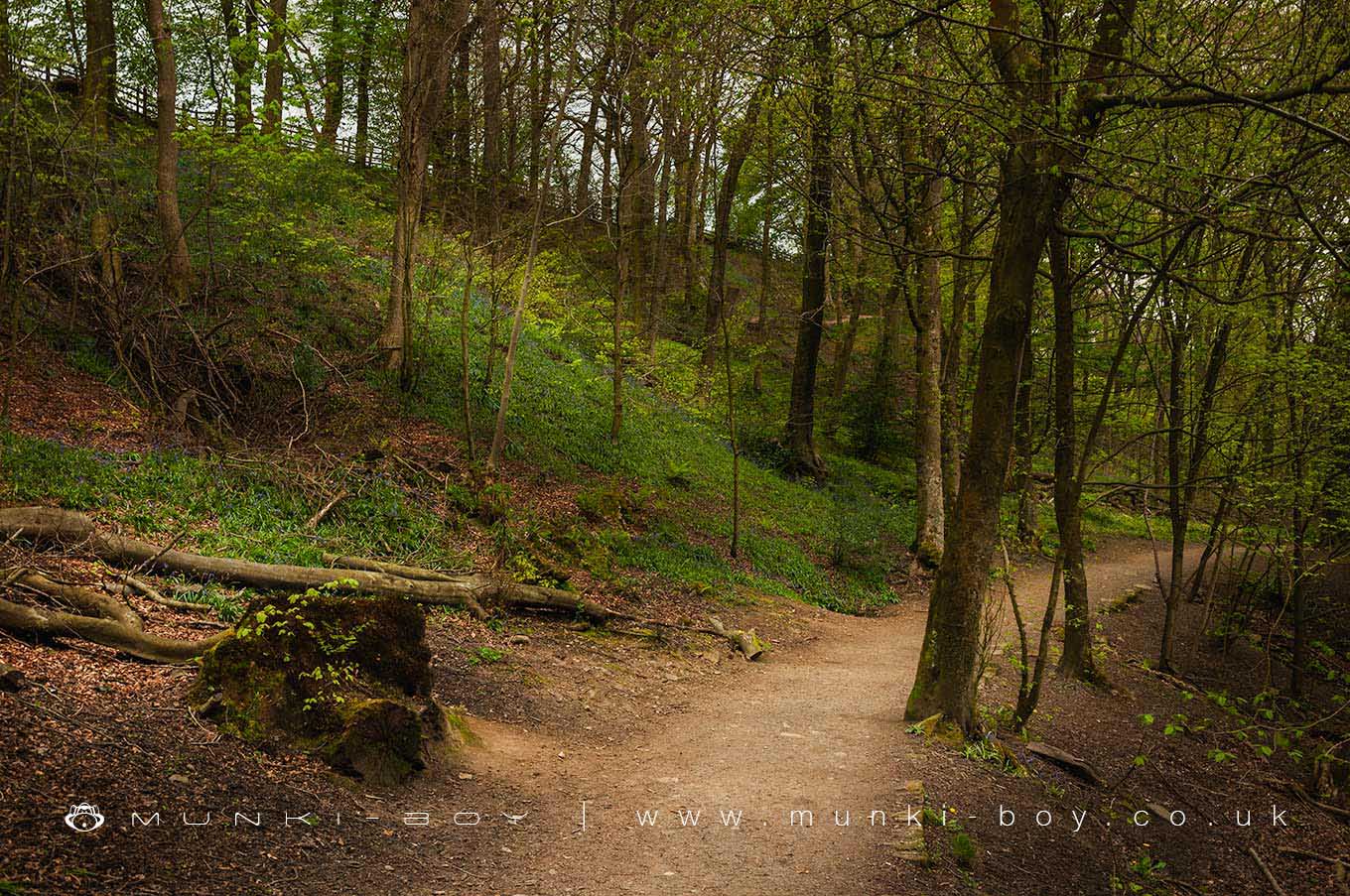 Woodlands in Darwen