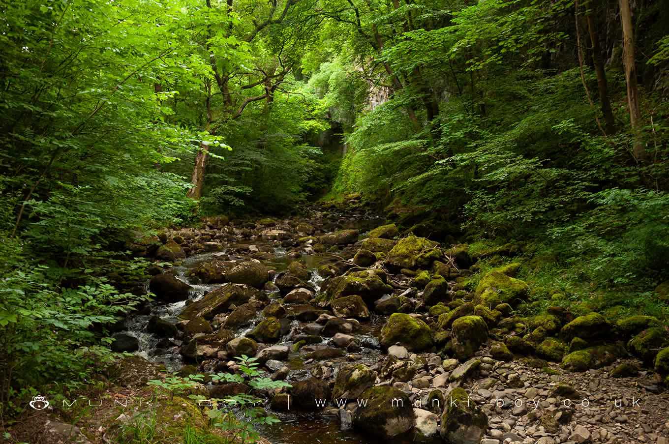 Hiking Areas in Ingleton Waterfalls Trail