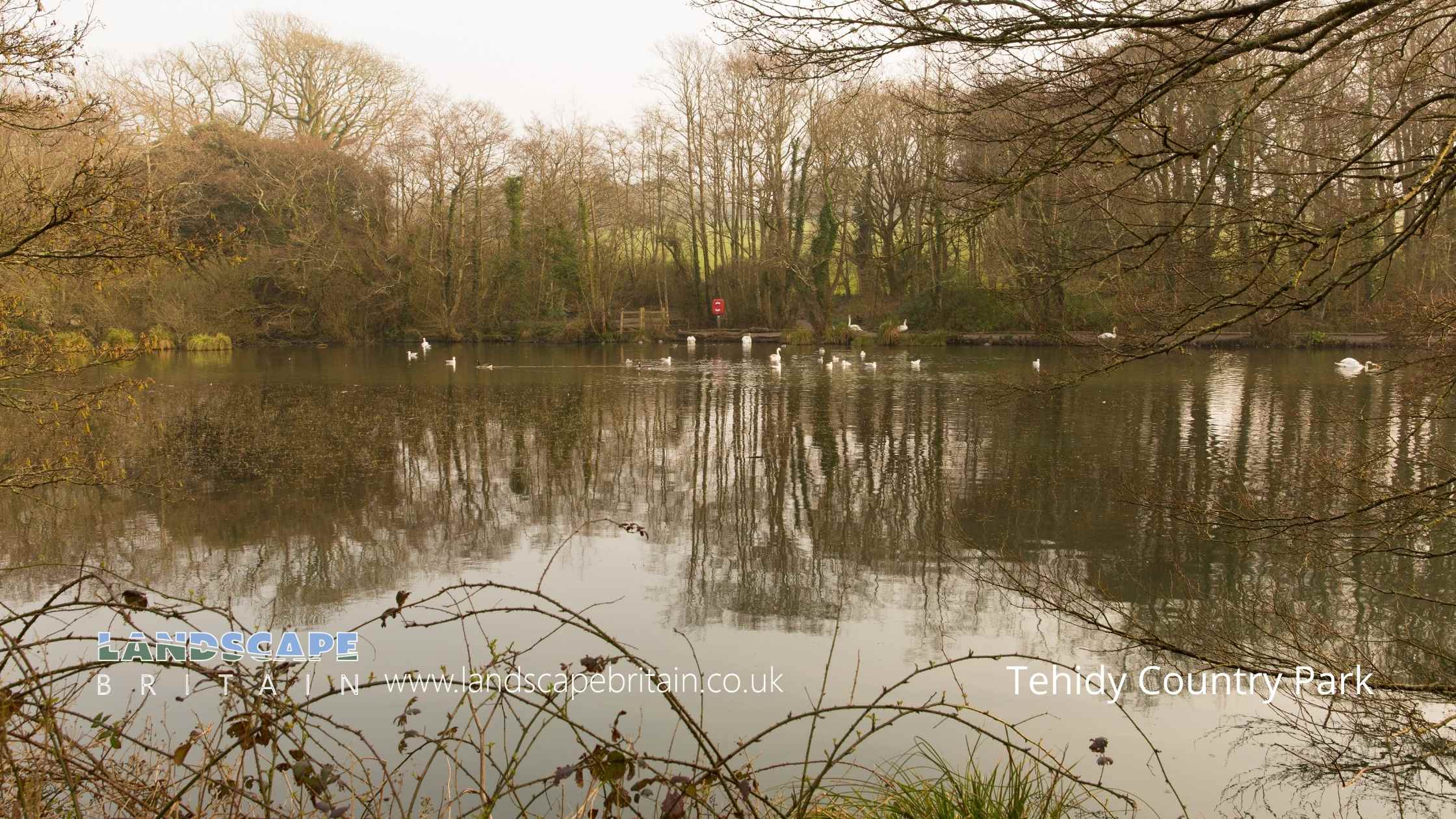 Country Parks in Tehidy