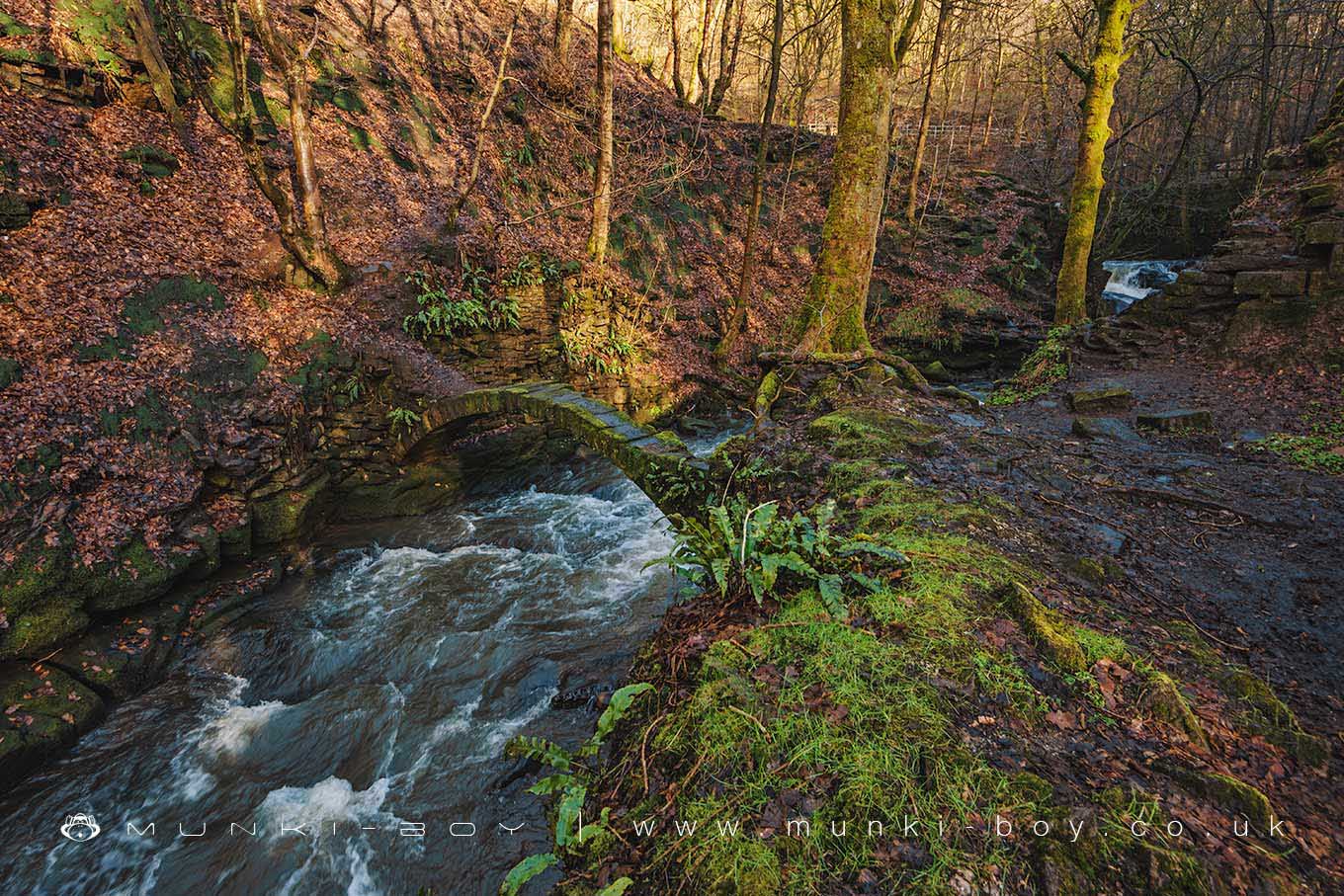 Ruins in Healey Dell