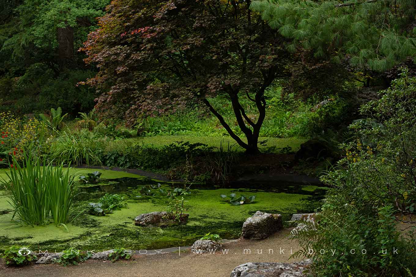 Gardens in Moss Bank Park