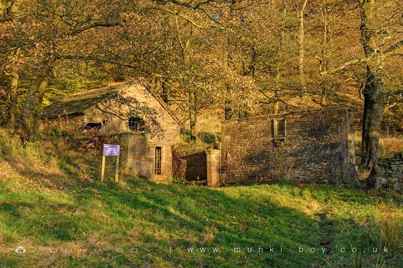 Historic Buildings in Roddlesworth Woods