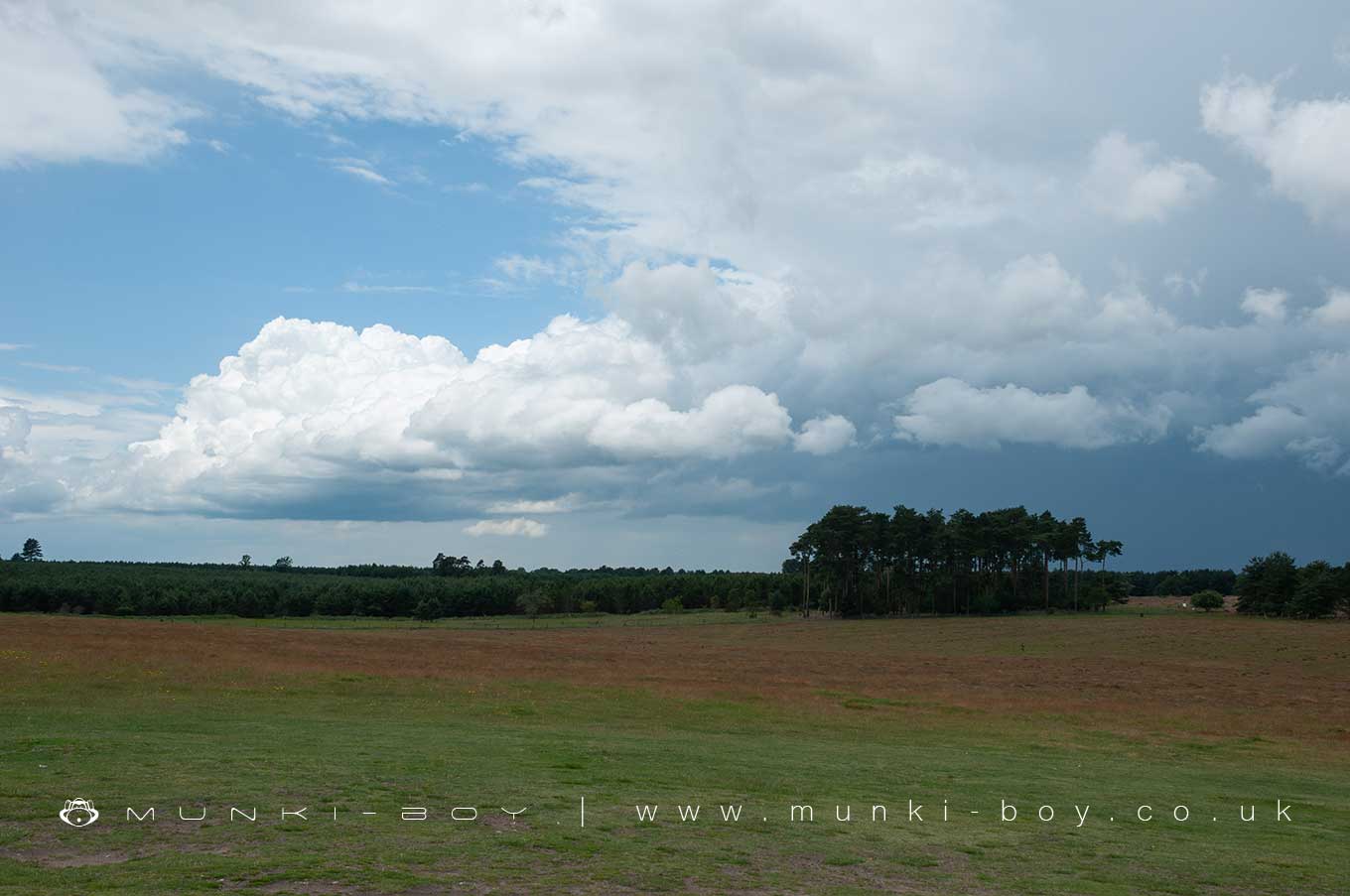 Woodlands in Norfolk