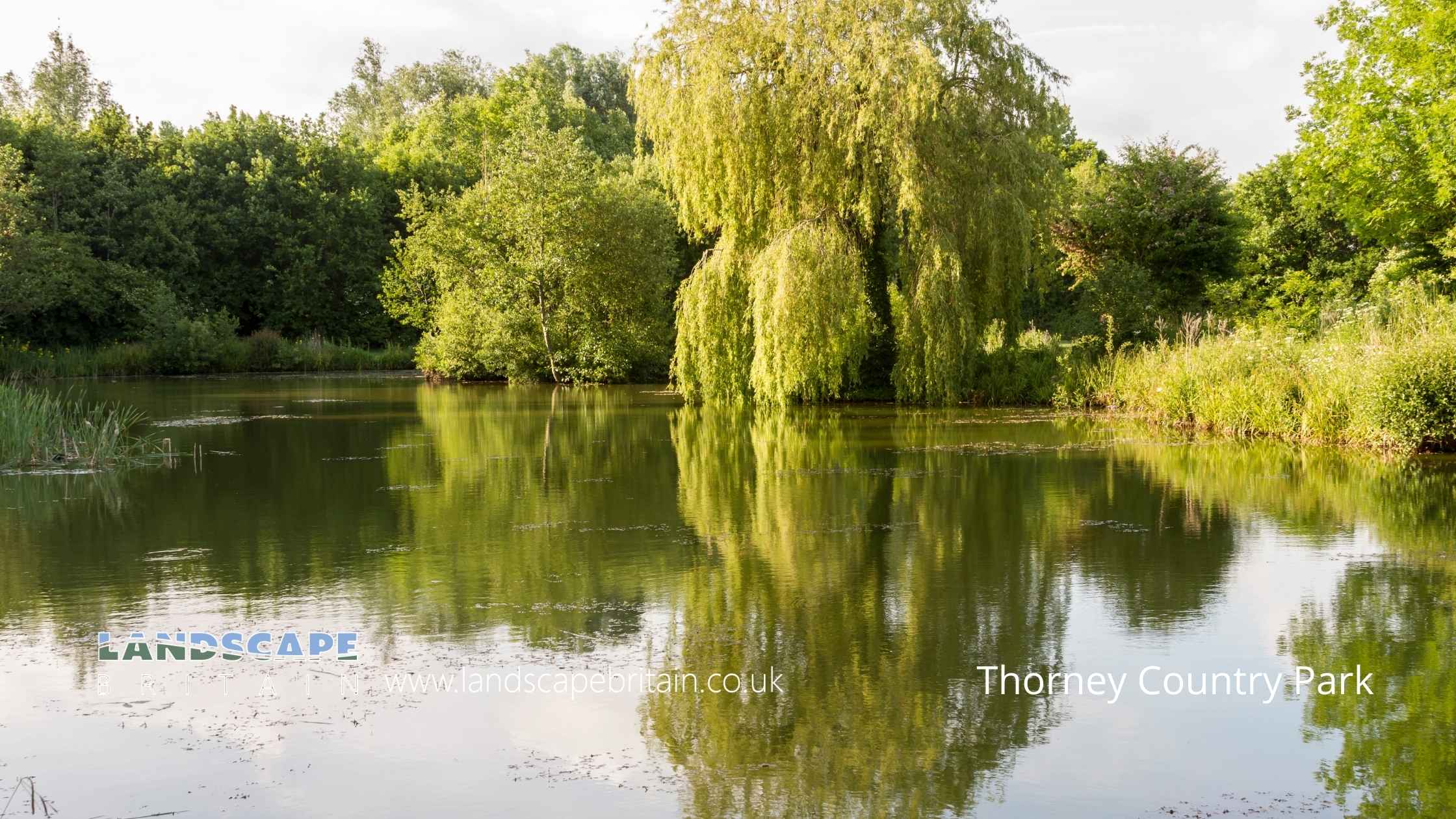 Country Parks in Buckinghamshire