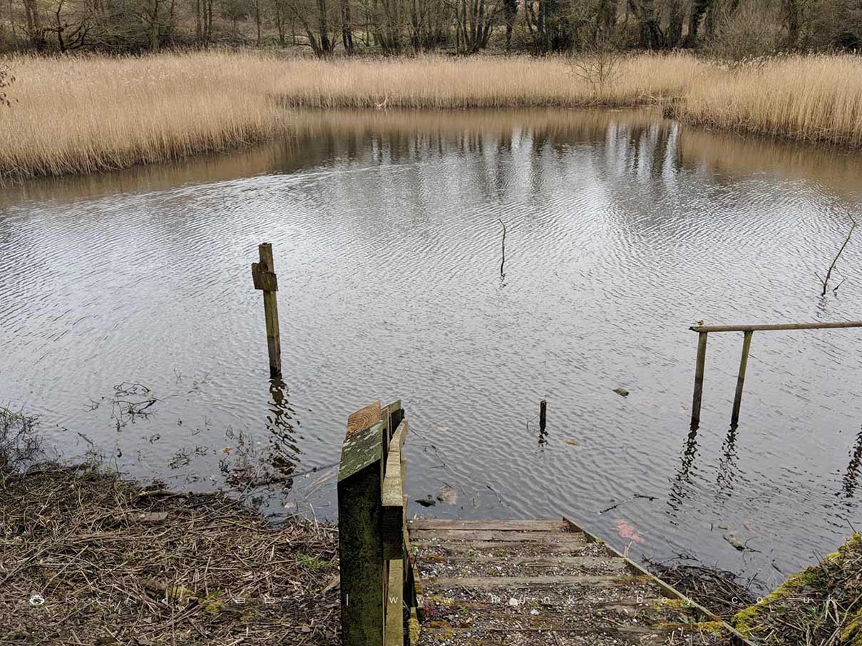 Nature Reserves in Chorley