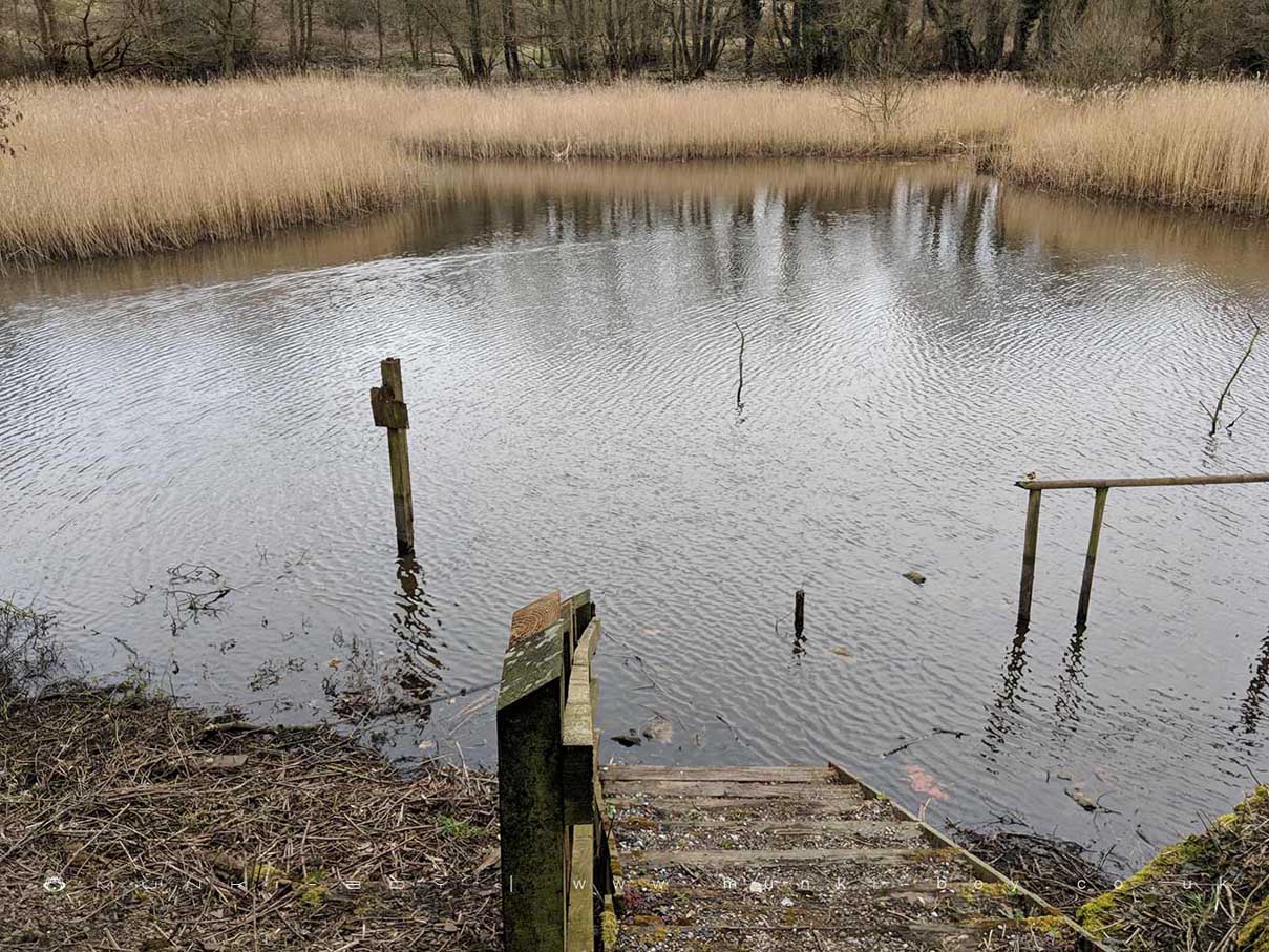 Nature Reserves in Yarrow Valley Country Park