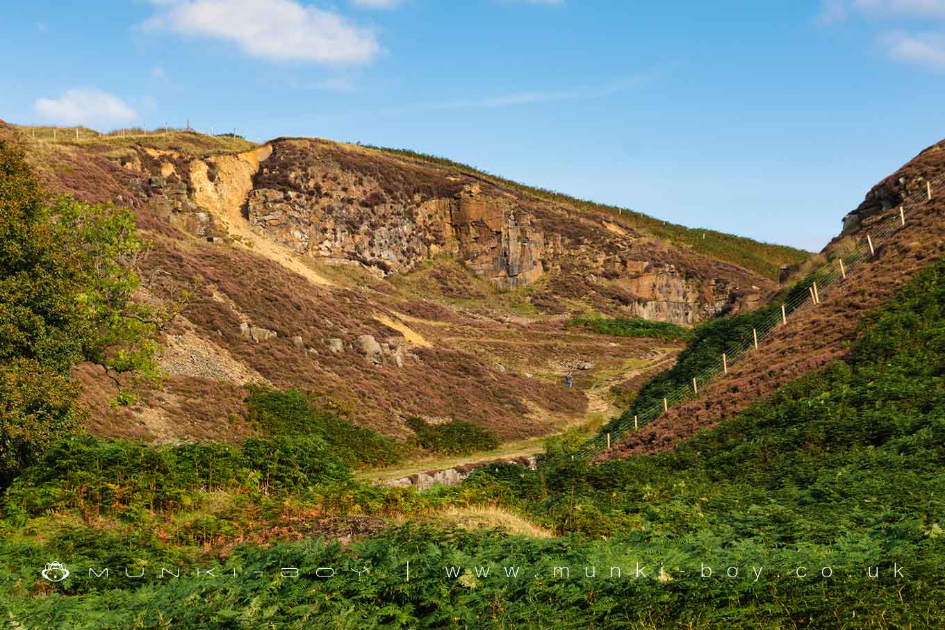 Geological Features in White Coppice