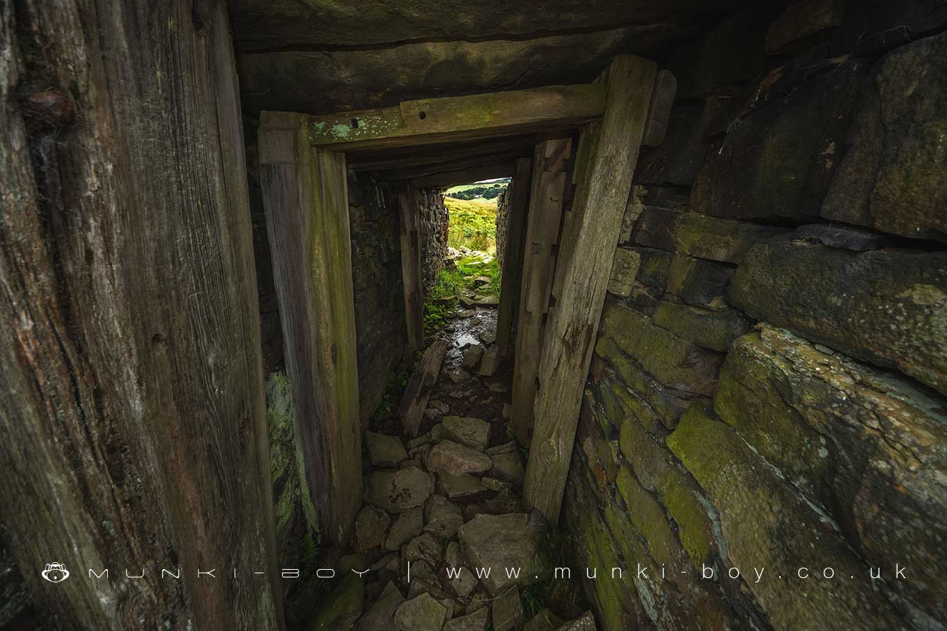 Ruins in Musbury Heights