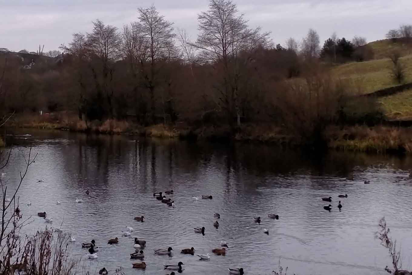 Lakes in Colne