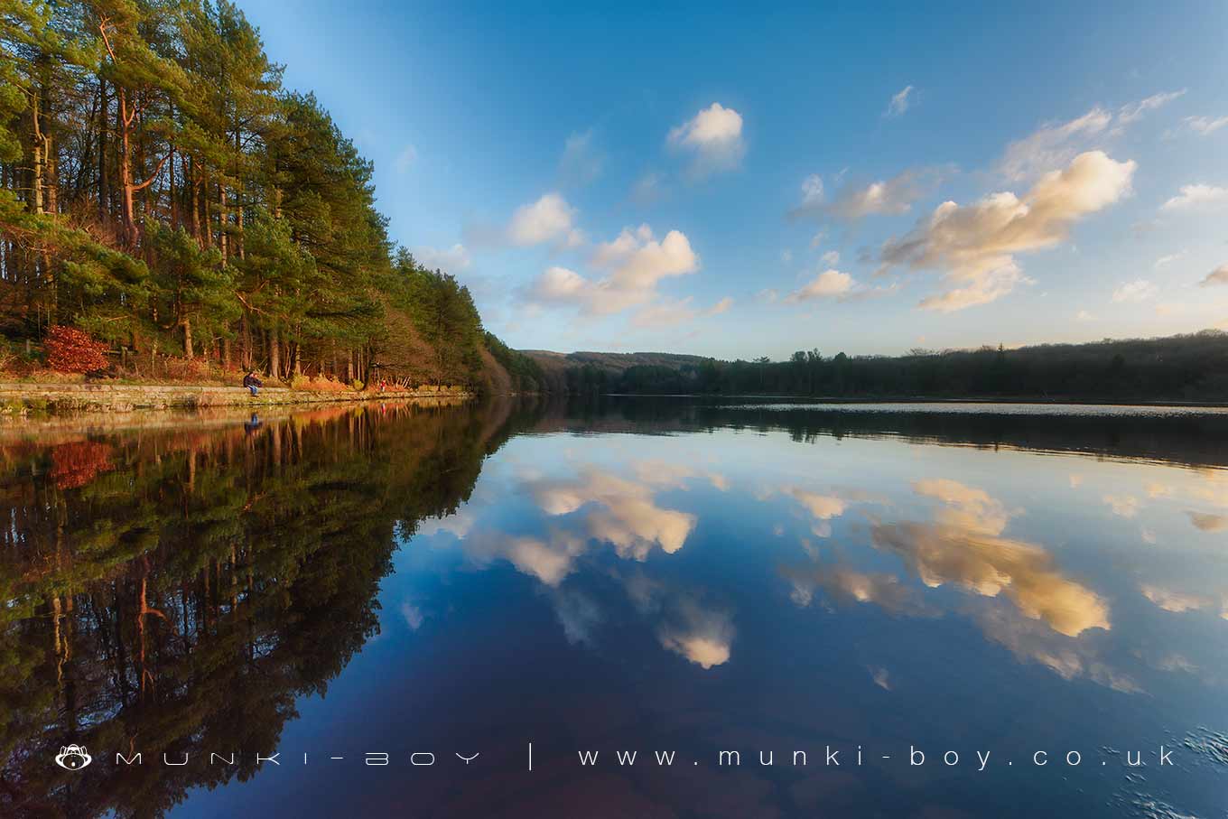 Lakes in Roddlesworth Woods