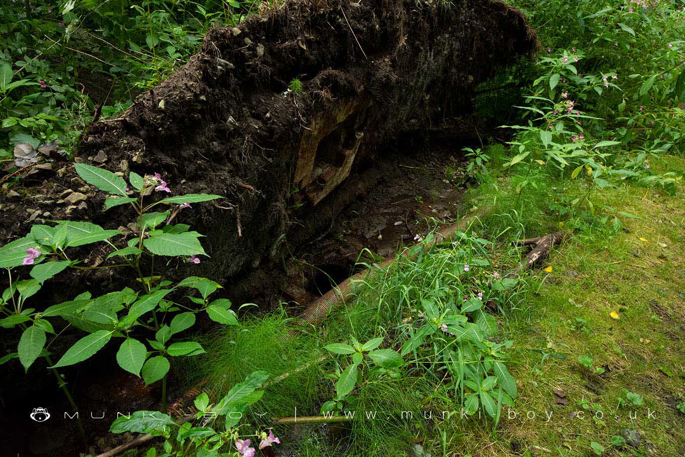 Old Mines in Raikes Clough