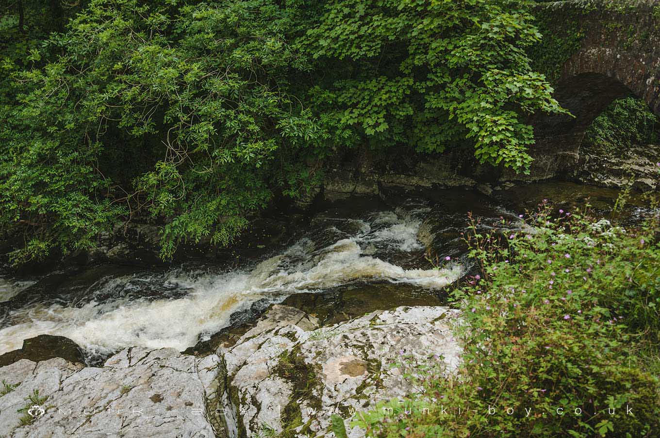 Rivers and Streams in West Burton