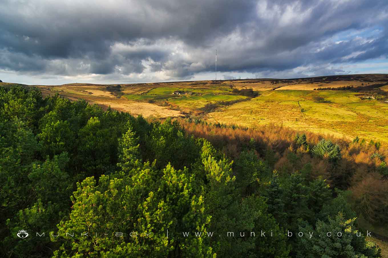 Woodlands in Smithills Country Park