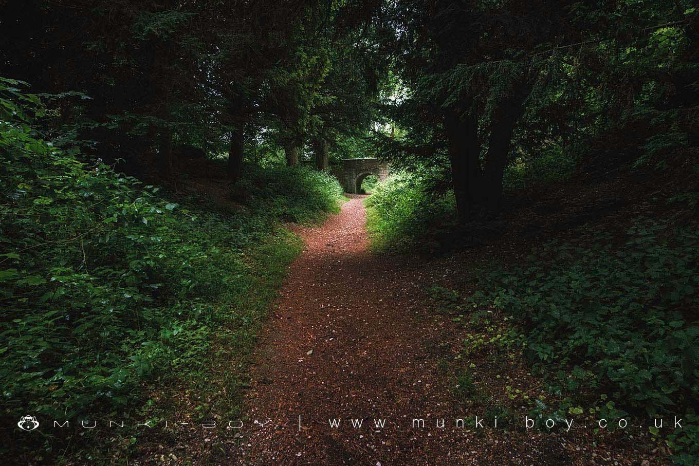 Ancient Sites in Wandlebury