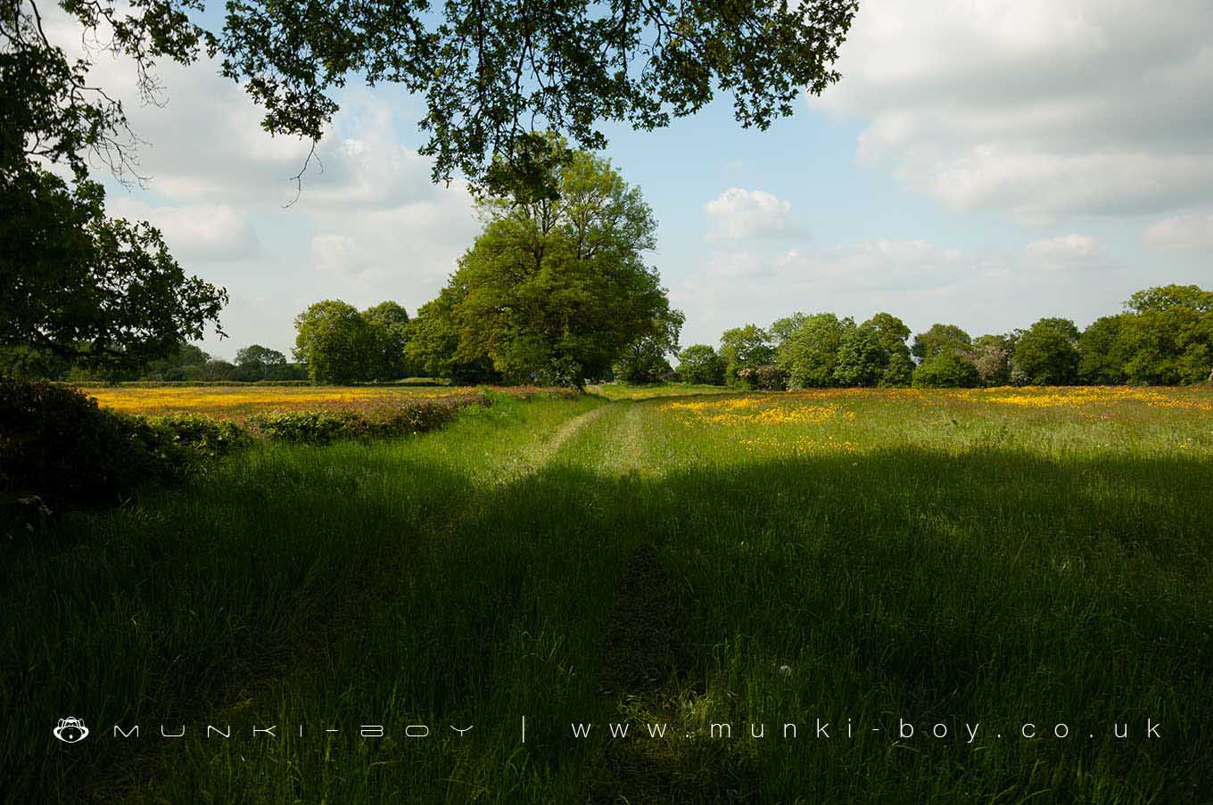 Warwickshire by munki-boy