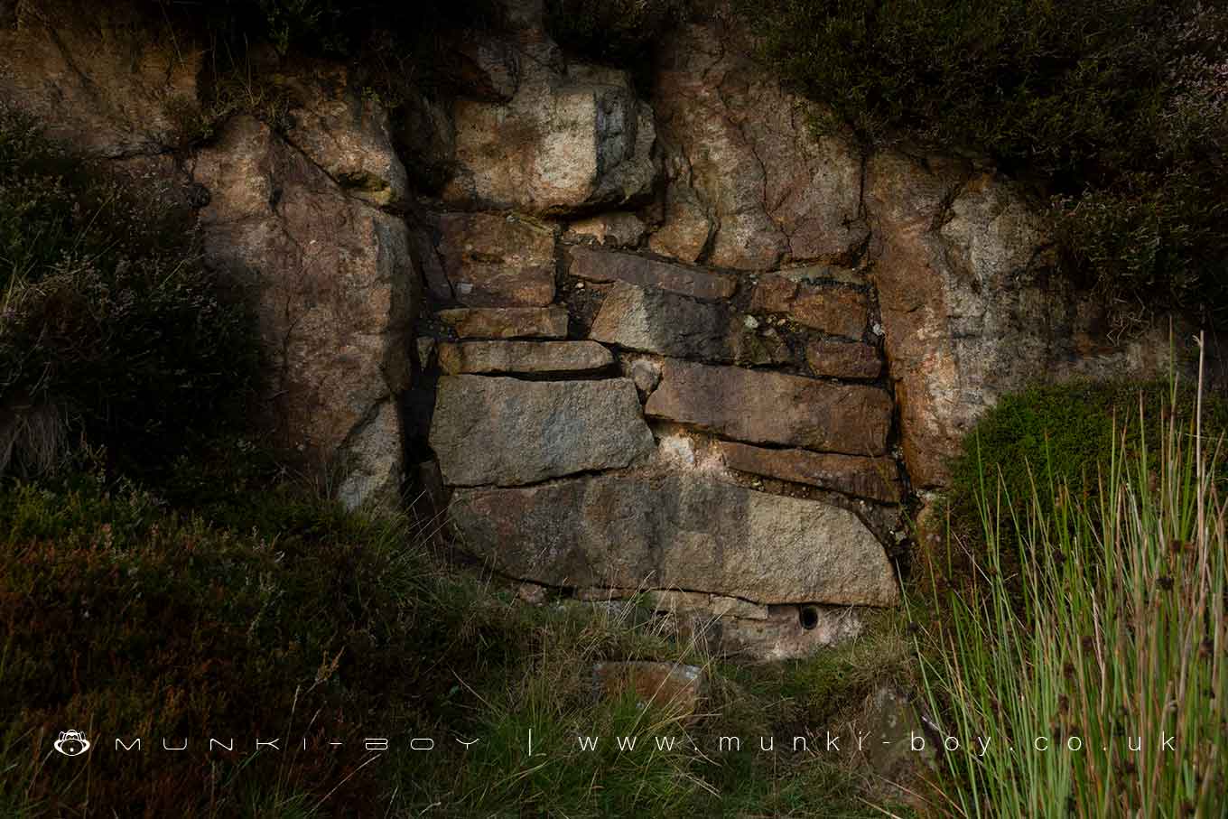 Old Mines in White Coppice Quarry